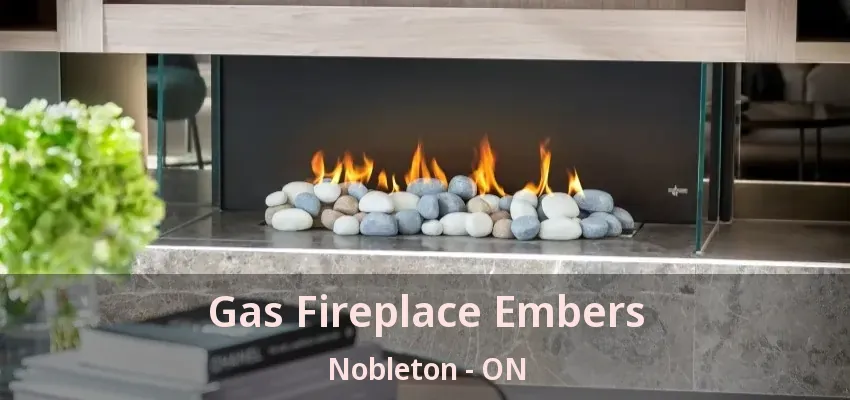Gas Fireplace Embers Nobleton - ON
