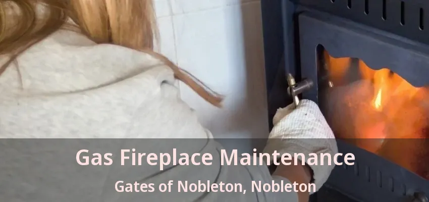 Gas Fireplace Maintenance Gates of Nobleton, Nobleton - ON