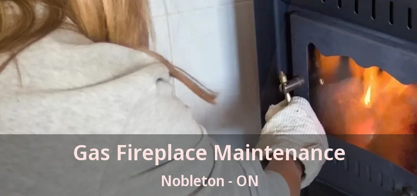 Gas Fireplace Maintenance Nobleton - ON