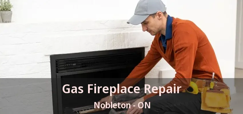 Gas Fireplace Repair Nobleton - ON