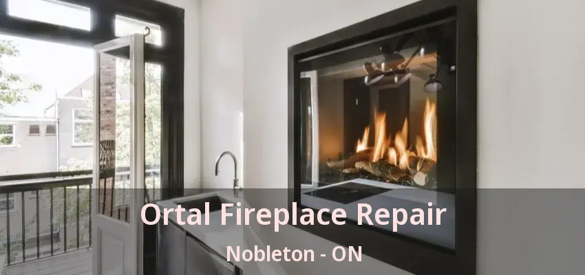 Ortal Fireplace Repair Nobleton - ON