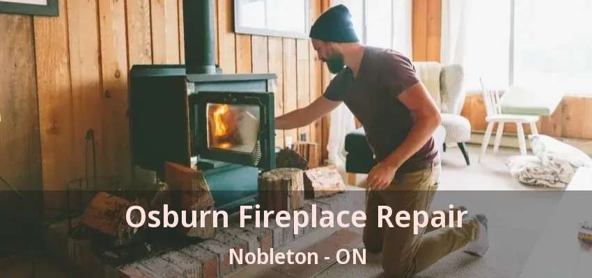 Osburn Fireplace Repair Nobleton - ON
