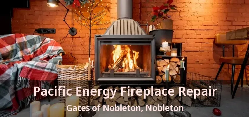 Pacific Energy Fireplace Repair Gates of Nobleton, Nobleton - ON