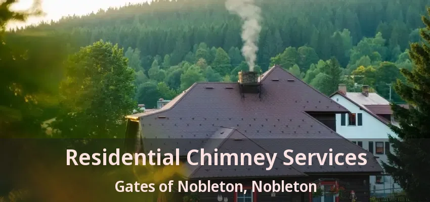 Residential Chimney Services Gates of Nobleton, Nobleton - ON