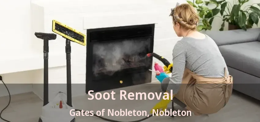 Soot Removal Gates of Nobleton, Nobleton - ON