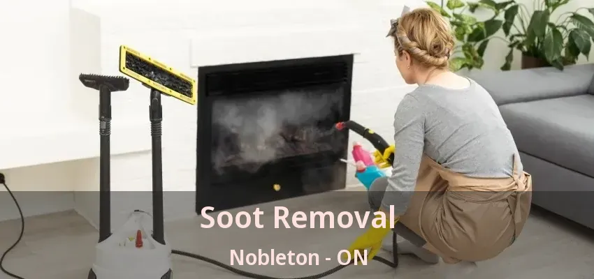 Soot Removal Nobleton - ON