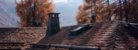 Chimney Animal Removal Nobleton